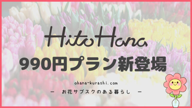 HitoHanaのお花サブスクに990円コースが新登場【待望のプチプラプラン】