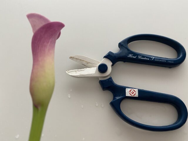 【口コミ】メデルのお花定期便は初回80%OFFで解約縛りなし!届いたブーケをレビュー