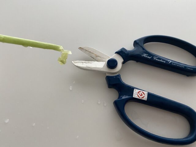 【口コミ】メデルのお花定期便は初回80%OFFで解約縛りなし!届いたブーケをレビュー